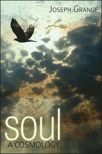 bokomslag Soul