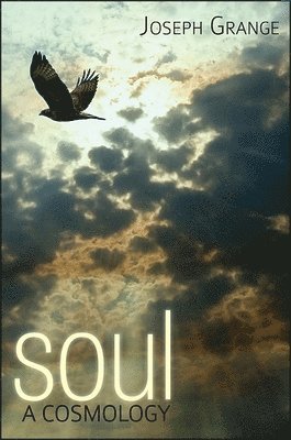 Soul 1