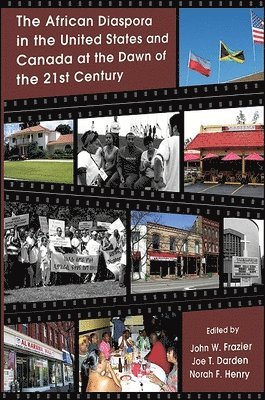 John W. Frazier, Joe T. Darden, Norah F. Henry - African Diaspora in the United States and Canada at the Dawn of the 21st Century, Häftad