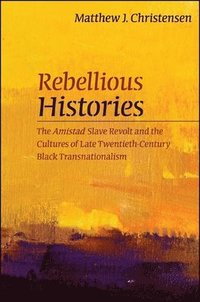 bokomslag Rebellious Histories