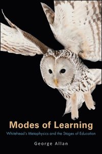 bokomslag Modes of Learning