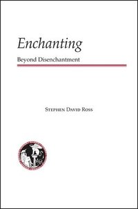 bokomslag Enchanting