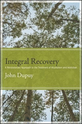 bokomslag Integral Recovery