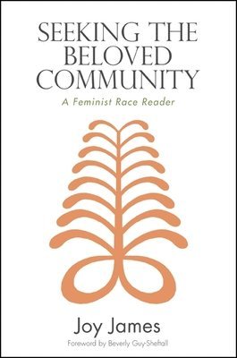 Joy James - Seeking the Beloved Community, Häftad