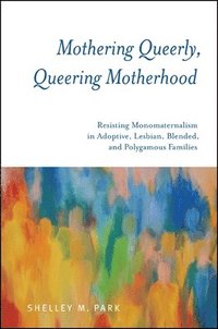 bokomslag Mothering Queerly, Queering Motherhood