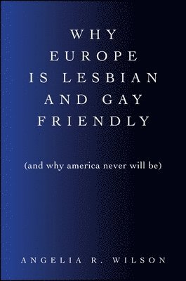 Angelia R. Wilson - Why Europe Is Lesbian and Gay Friendly (and Why America Never Will Be), Häftad