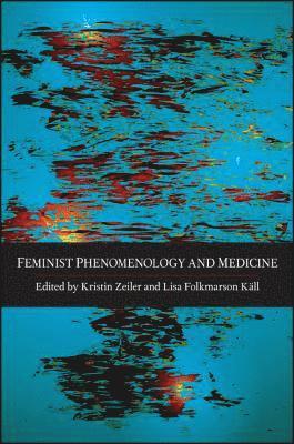 Feminist Phenomenology and Medicine 1