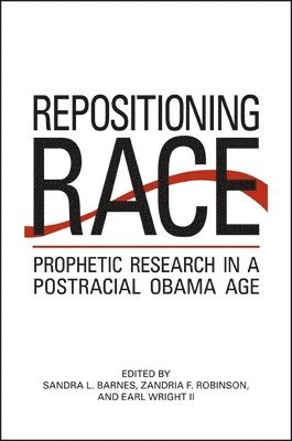 bokomslag Repositioning Race