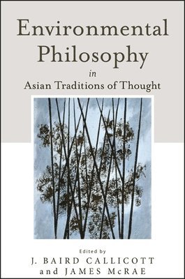 bokomslag Environmental Philosophy in Asian Traditions of Thought