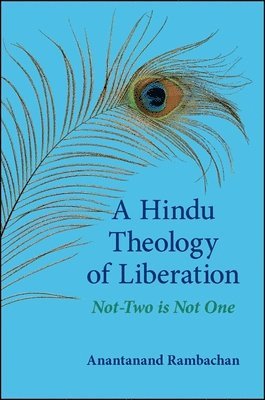 bokomslag Hindu Theology of Liberation