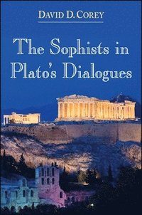 bokomslag The Sophists in Plato's Dialogues