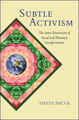 David Nicol - Subtle Activism, Inbunden