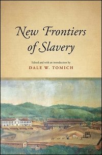 bokomslag New Frontiers of Slavery