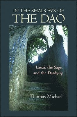 Thomas Michael - In the Shadows of the Dao, Häftad