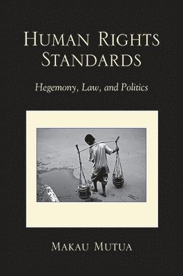 bokomslag Human Rights Standards