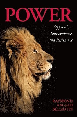 Raymond Angelo Belliotti - Power, Inbunden