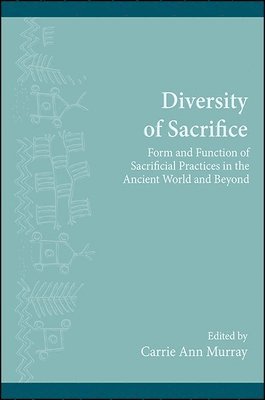 bokomslag Diversity of Sacrifice