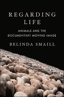 Belinda Smaill - Regarding Life, Inbunden
