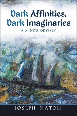 bokomslag Dark Affinities, Dark Imaginaries