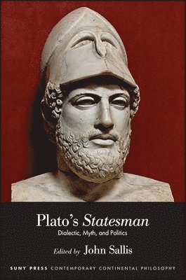 bokomslag Plato's Statesman