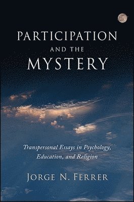 bokomslag Participation and the Mystery