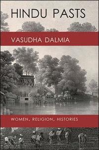 bokomslag Hindu Pasts