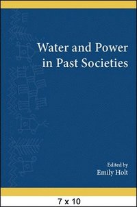 bokomslag Water and Power in Past Societies