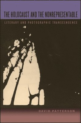 David Patterson - Holocaust and the Nonrepresentable, Inbunden