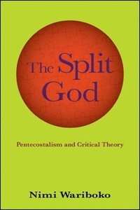 bokomslag The Split God