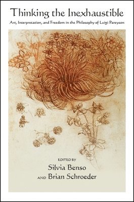 Silvia Benso, Brian Schroeder - Thinking the Inexhaustible, Häftad