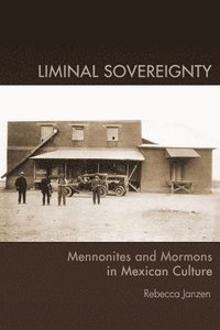 bokomslag Liminal Sovereignty