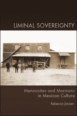 bokomslag Liminal Sovereignty