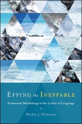 Wesley J. Wildman - Effing the Ineffable, Inbunden