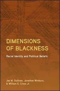 bokomslag Dimensions of Blackness
