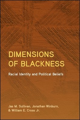Jas M. Sullivan, Jonathan Winburn, William E. Cross Jr. - Dimensions of Blackness, Inbunden