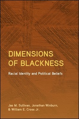 Dimensions of Blackness 1