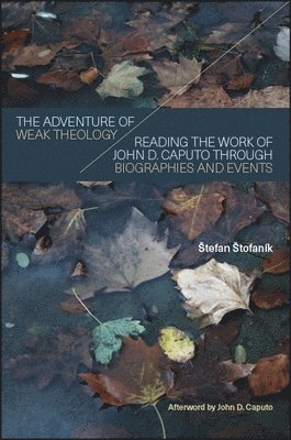 Štefan Štofaník - Adventure of Weak Theology, Inbunden