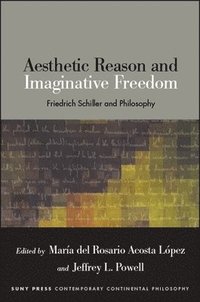 bokomslag Aesthetic Reason and Imaginative Freedom