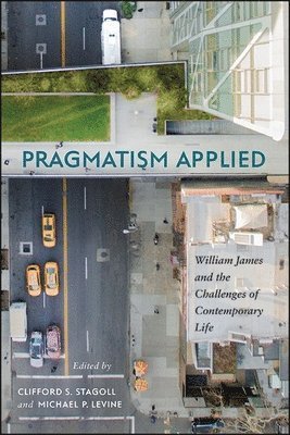 Clifford S. Stagoll, Michael P. Levine - Pragmatism Applied, Inbunden