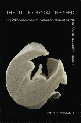 Iddo Dickmann - Little Crystalline Seed, Inbunden