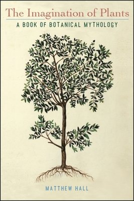 Matthew Hall - Imagination of Plants, Häftad