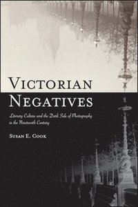 bokomslag Victorian Negatives
