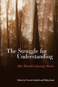 bokomslag The Struggle for Understanding