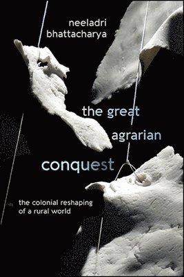 bokomslag Great Agrarian Conquest