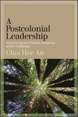 bokomslag A Postcolonial Leadership