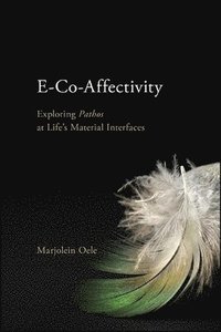 bokomslag E-Co-Affectivity