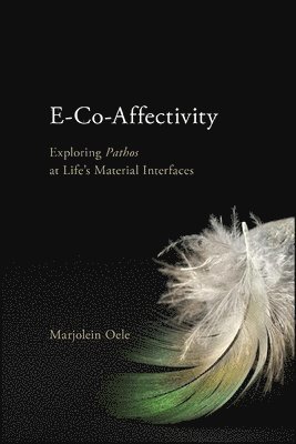 E-Co-Affectivity 1