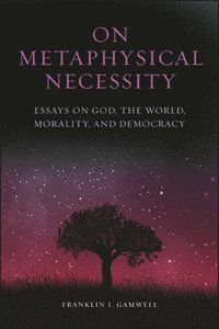 bokomslag On Metaphysical Necessity