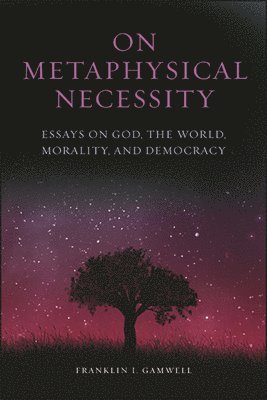 Franklin I. Gamwell - On Metaphysical Necessity, Häftad