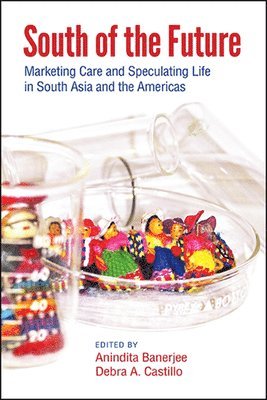 Anindita Banerjee, Debra A. Castillo - South of the Future, Inbunden